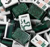 snake skin pattern