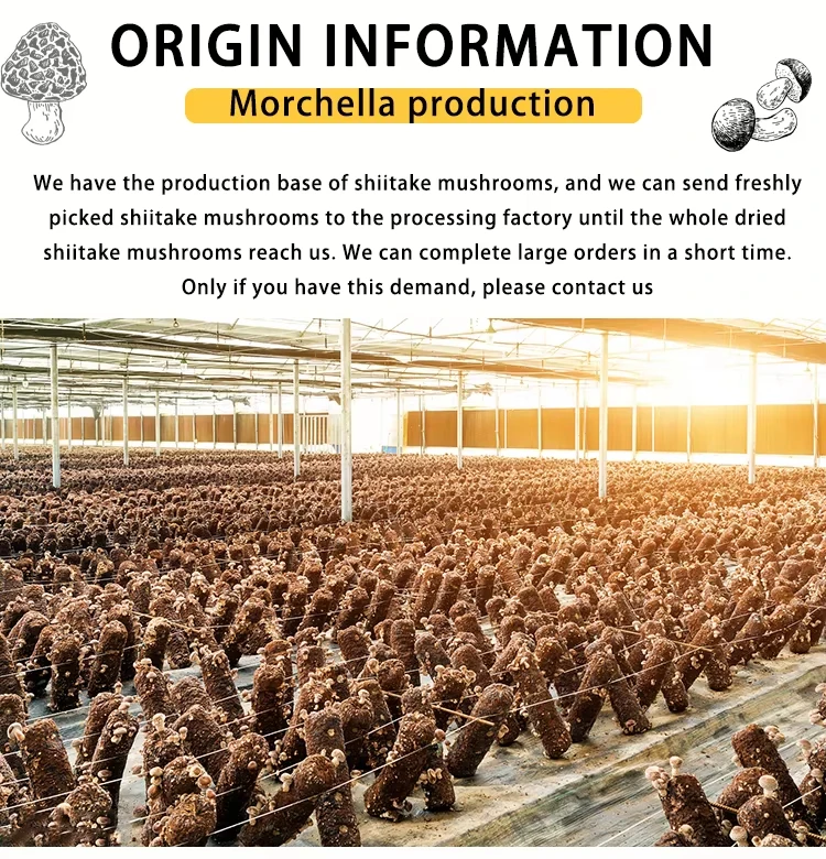 Vacuum Fried Shiitake Mushroom Chips for Wholesale | Bulk B2B Supply H630272f51cfd43b49a1ec99f92c35fffe