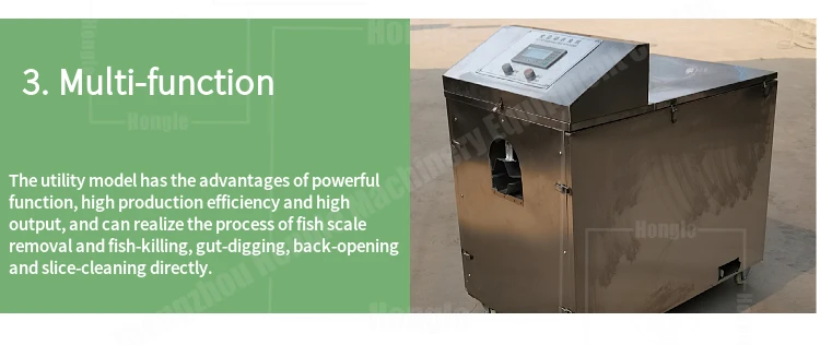 Durable Fish Scaling and Gutting Killing Machine  Fish Viscera Removal Scaler Guts Removing Gutting Descaling Machine factory