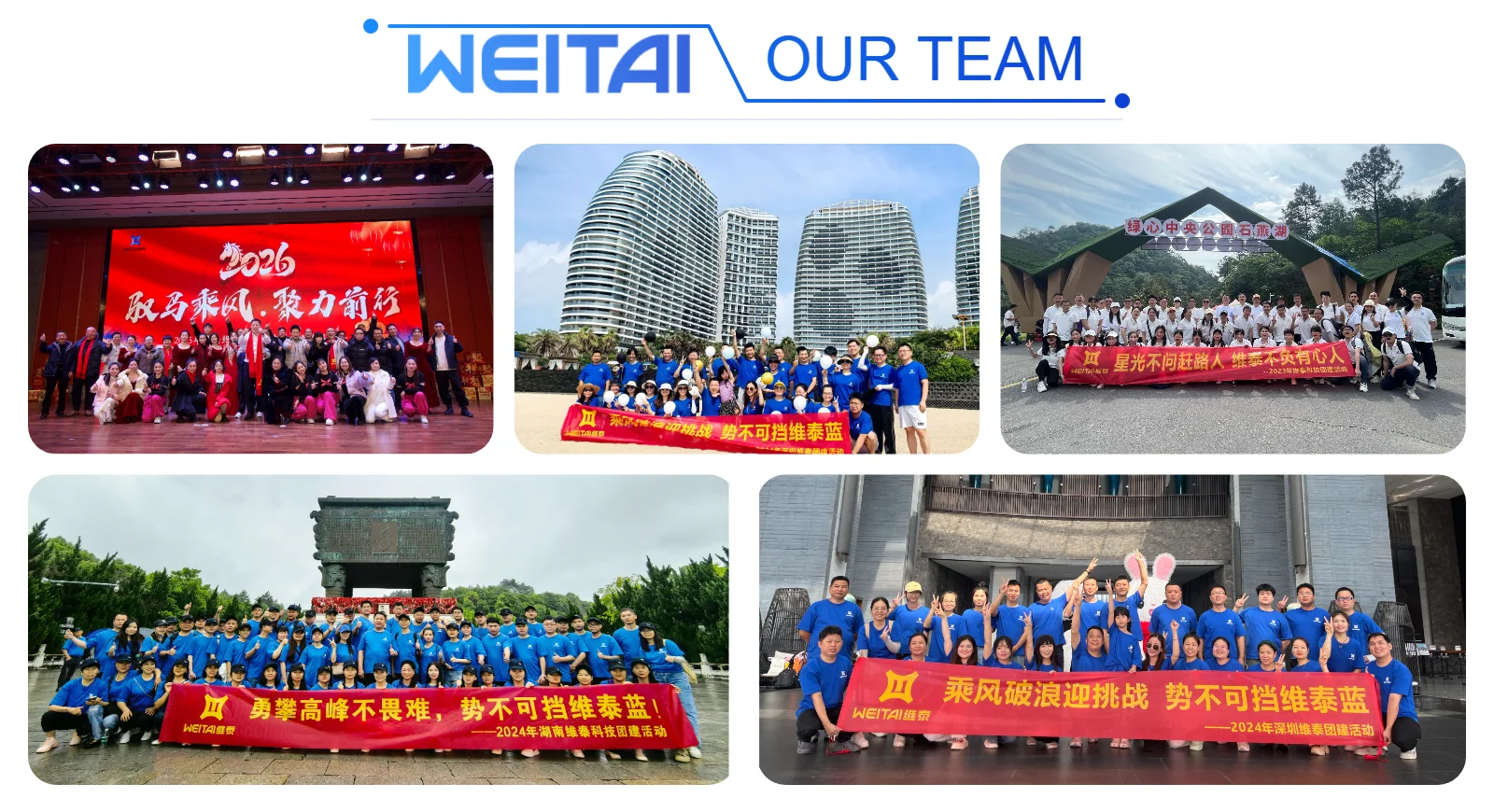 WEITAI 11.12 Inch TFT IPS LCD Module with 380x1920 Resolution 700 Cd/m Brightness MIPI Interface for In-vehicle Display manufacture