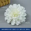 Oil painting of dahlia flowers, milky white