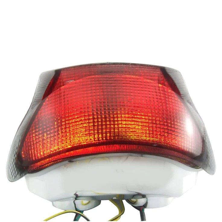 Integrated LED Tail Light & Turn Signal for TRIUMPH Speed Triple