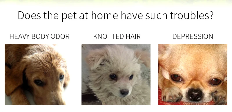 Фирменный натуральный органический продукт для домашних животных шампунь сухой кожи с глубокой очисткой шерсти собак и