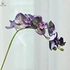 Noyau imprimé léopard violet