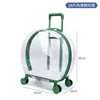 Ordinary bubble box - completely transparent green