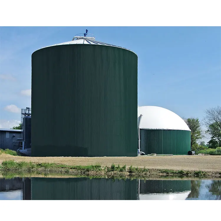 Biogas Digester for Sale Biogas Digester System Mini Biogas Digester