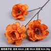 Orange à trois têtes