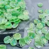 Aurore verte