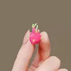 Dragon fruit brooch