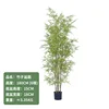 Yellow bamboo bonsai 180CM
