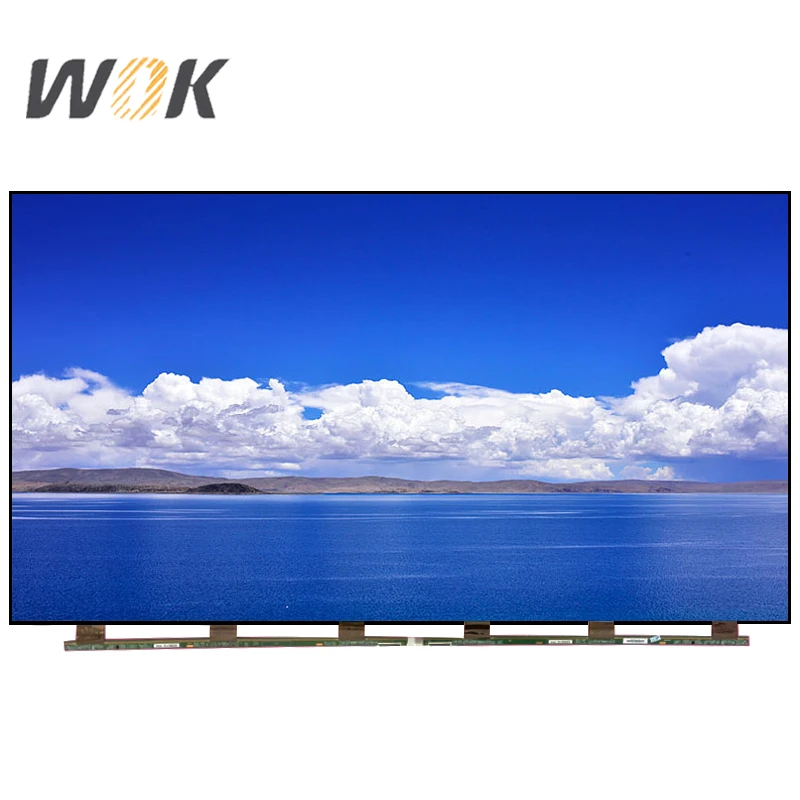 55 Inch TV LCD Screen - Replacement Display for BOE Panel