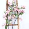 Locust flower branches, pink
