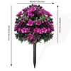 Azalea - Viola