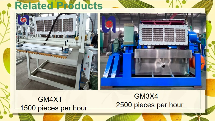 Fully Automatic Egg Tray Making Machinery, Directly Sold By Suppliers details