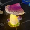 Customized Color