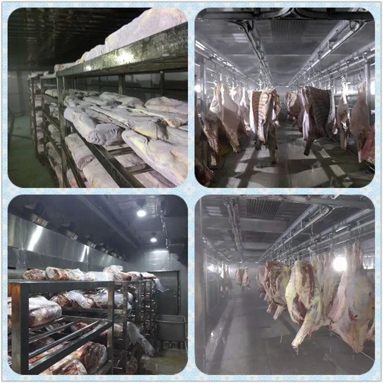 Meat defrost machine for thawing carcasses Debone Abattoir