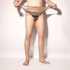 marrone