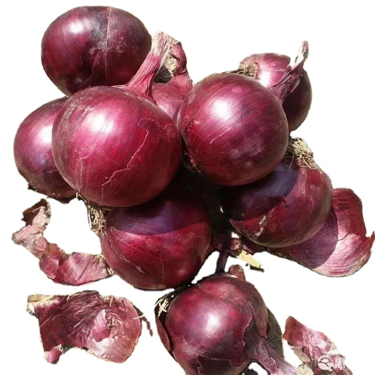 Свежий высококачественный лук поставщиков в Китае красный круглый свежий из на складе год