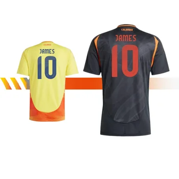 2024/2025 Colombia home players/fans football jersey