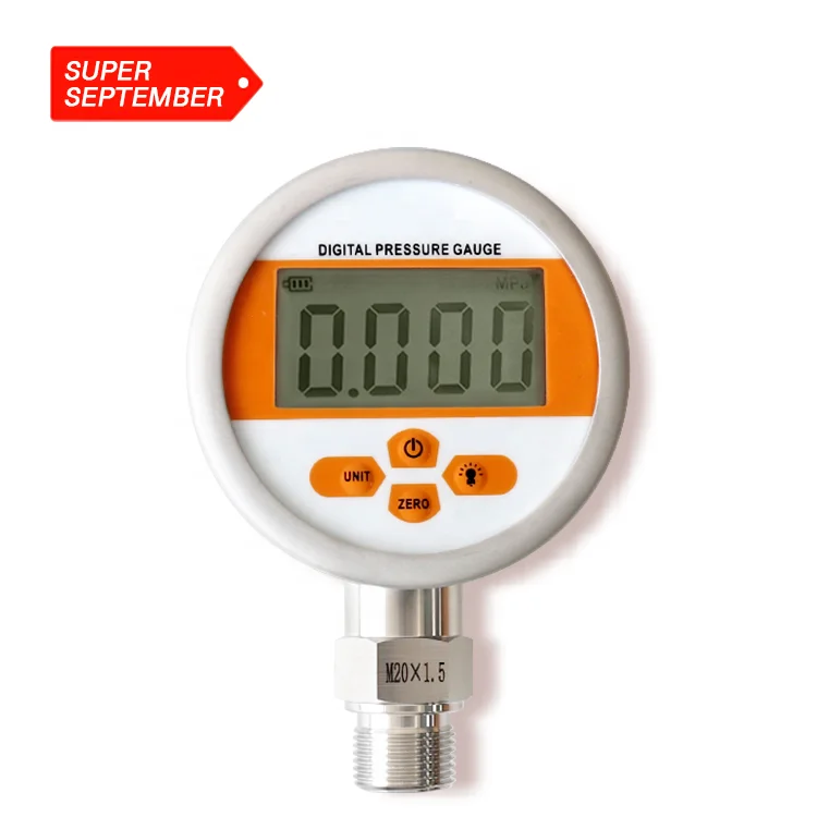 WTsensor Factory OEM ODM Pressure Manometer High Precision Low Price Intelligent Vacuum Pressure Gauge