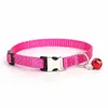 Rosa Roja