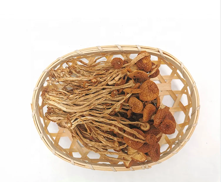 Распродажа сушеных съедобных чайных деревьев грибов