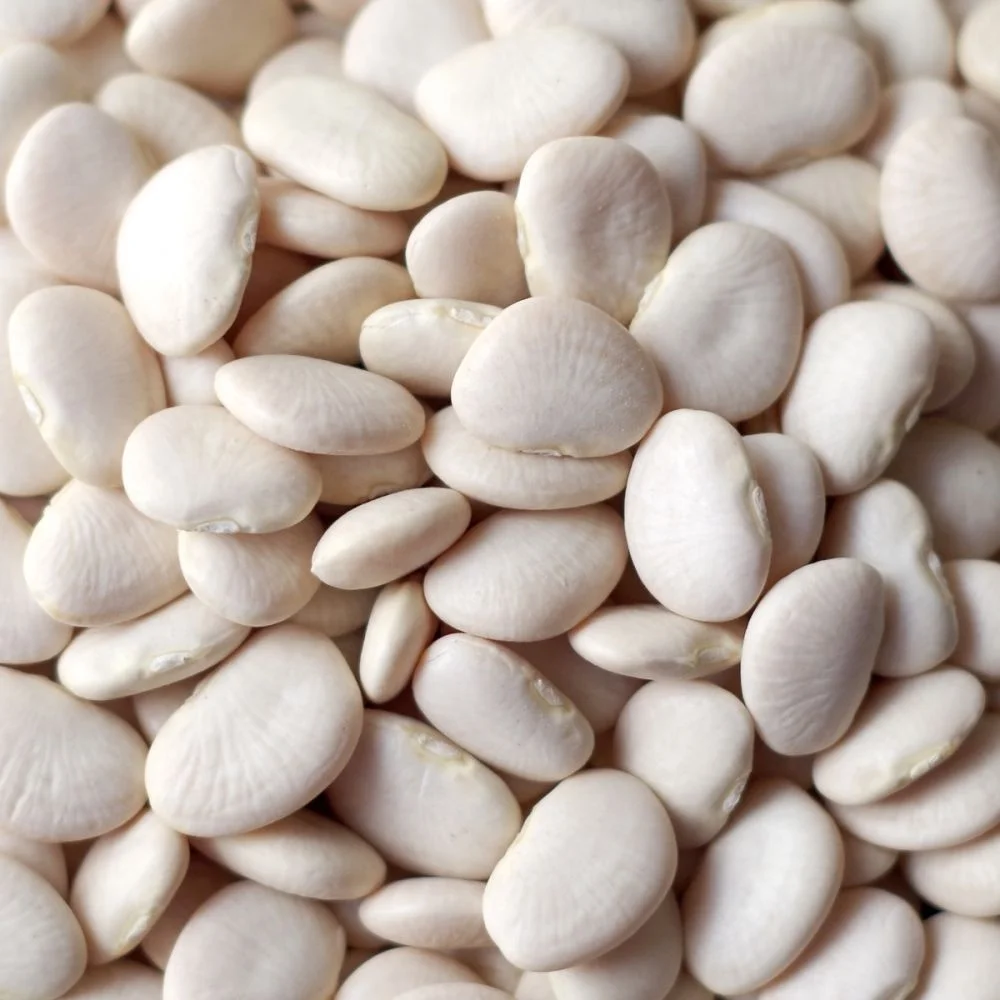 best price large lima beans