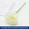 Single-headed short-stem carnation - white