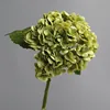 Jaune-vert