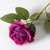 rose purple