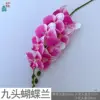 Orquídea Phalaenopsis de nueve cabezas PP de color rosa oscuro