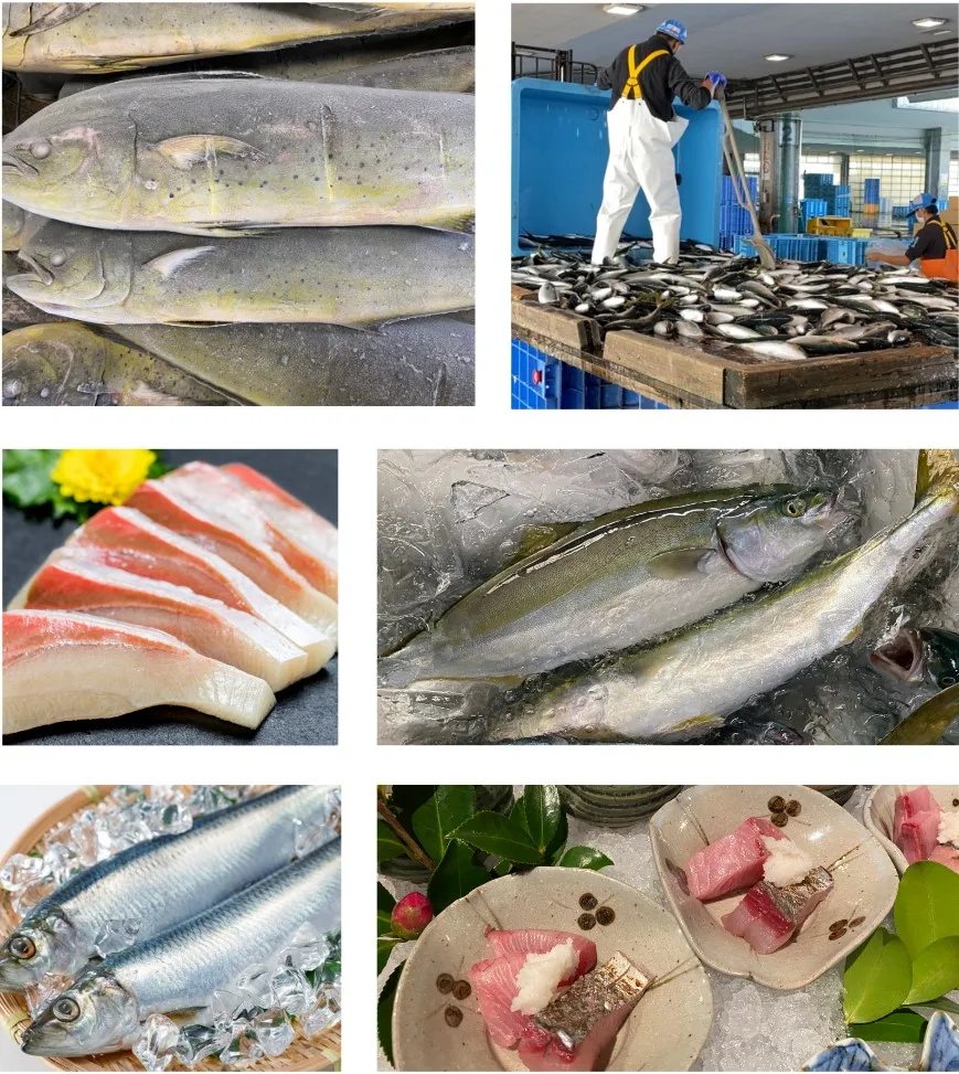 Frozen Aji (japanese Horse Mackerel) Fillet (sashimi Grade) Buy