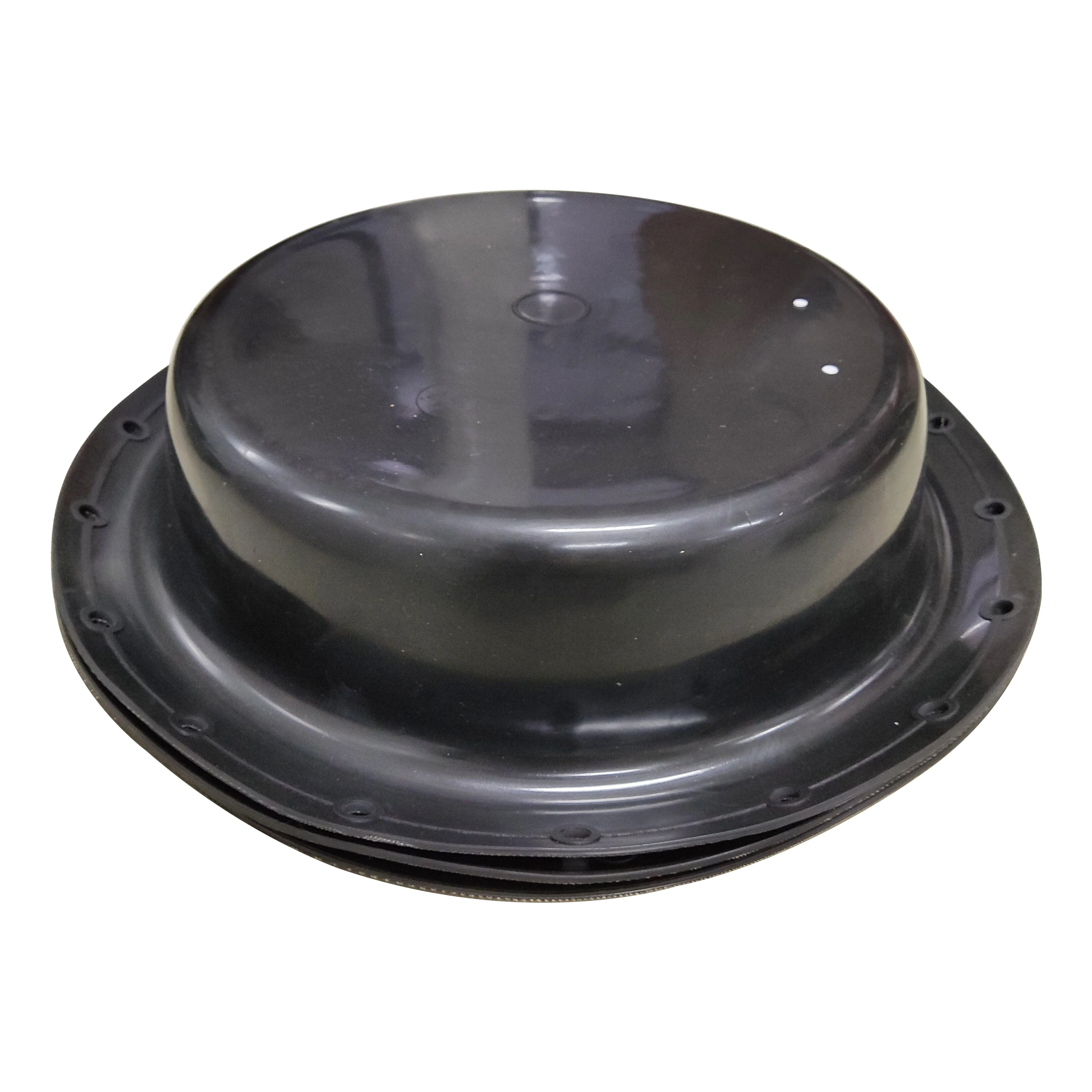 rubber diaphragm