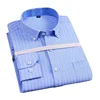 Blue wide stripes
