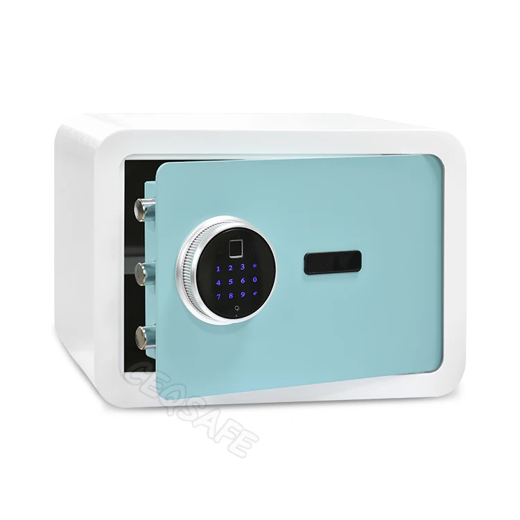 CEQSAFE Home Hotel Electronic Small Wall Safety Money Mini Safe Box Fingerprint