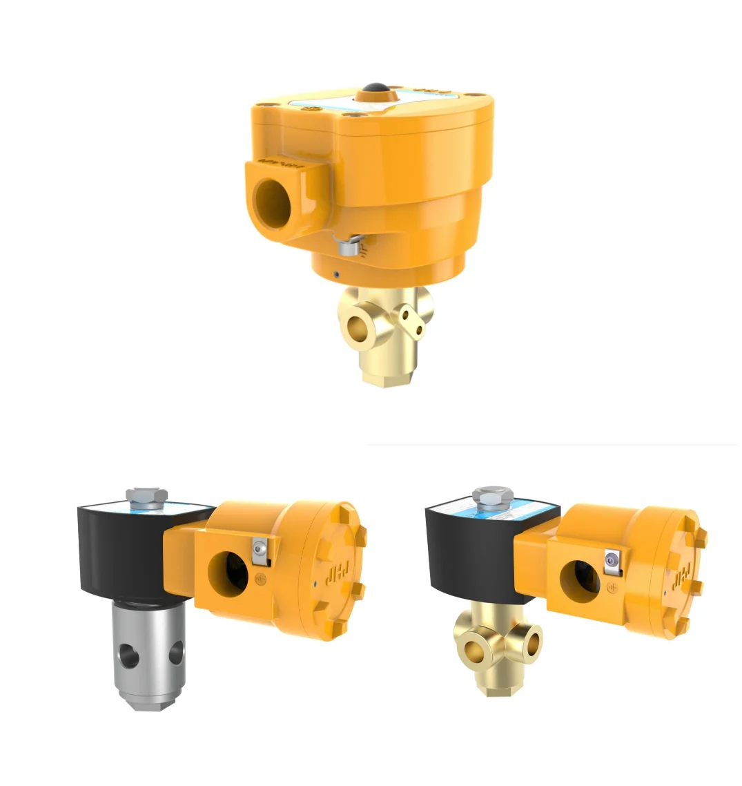 Fisher Vee-Ball  V150 Flanged Control Valve With DVC6200 Positioner and Chinese 3 Way Solenoid Valves
