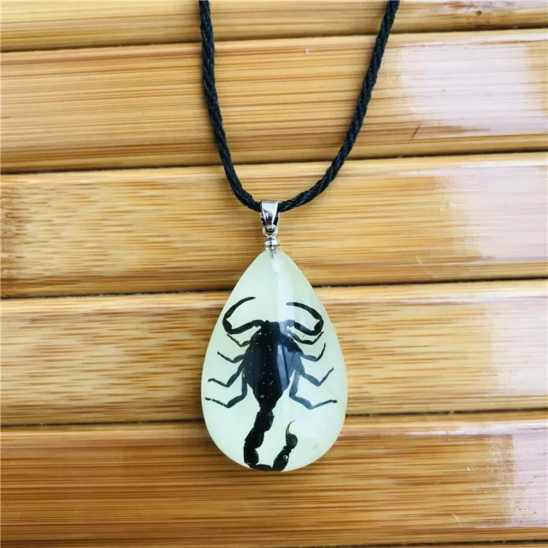 Buy Black Scorpion in Resin Necklace, Real Insect Jewelry, Oddities  Curiosities Online in India - Etsy