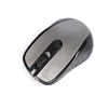3100 silver gray (bare metal)