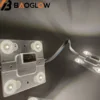 Cool White