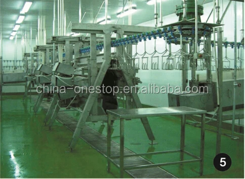 Complete poultry slaughterhouse equipment for broiler processing plant