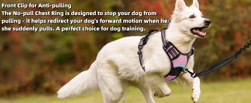 Hot Selling Nylon Outdoor Dog Harness Leash Suitable for Small Medium Large Dogs Pet Products supplier