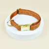 Coffee Bean Collar