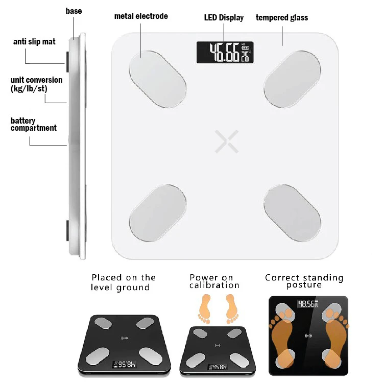 Wholesale BL-2601 180Kg 396Lb Muscle Measure Protein Rate Body Fat  Percentage Weight Scale From m.