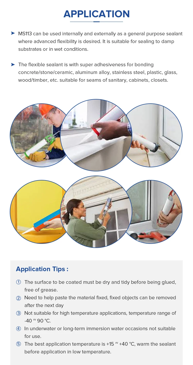 MS Polymer Sealant - Versatile Adhesive for Multiple Uses