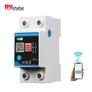 RMshebei TUYA WIFI Smart Circuit Breaker 63A 2P Smart Timer Switch mcb By tuya APP With Smart Home Alexa Google Home