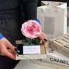 Morbido gradiente dal rosa al bianco
