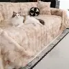 Kaki