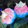 Couleur personnalisée