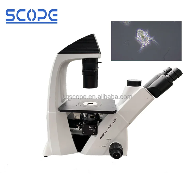 Both Bright Field & Phase Contrast Observation Inverted Biological Microscope For Cell Culture