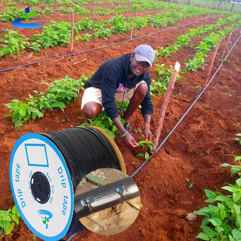 Drip Irrigation System 1 Hectare Watering & Irrigation 16mm 2L/H 3L/H Farm Agricultural Garden Drip Tape 16mm